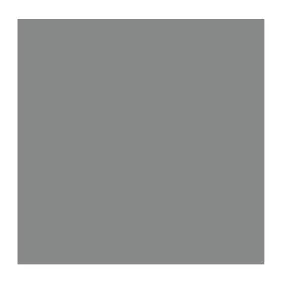 Cold Grey 717 (Rembrandt Oil Colour)